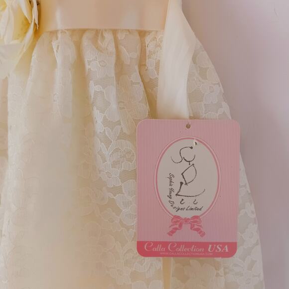 Sophia Young Designs Ivory Lace Flower Girl Pageant Dress Size 6 NWT - Picture 4 of 9